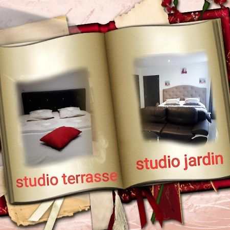 Au Paradis Des Crins Studio Rez De Chaussee Avec Jardin Et Un Autre Studio En Duplex Avec Terrasse Apartment Templeuve-en-Pevele Exterior photo