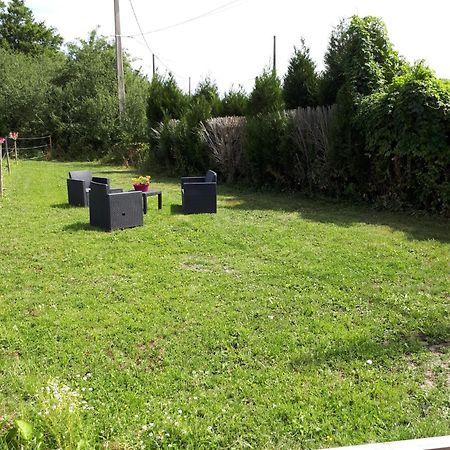 Au Paradis Des Crins Studio Rez De Chaussee Avec Jardin Et Un Autre Studio En Duplex Avec Terrasse Apartment Templeuve-en-Pevele Exterior photo