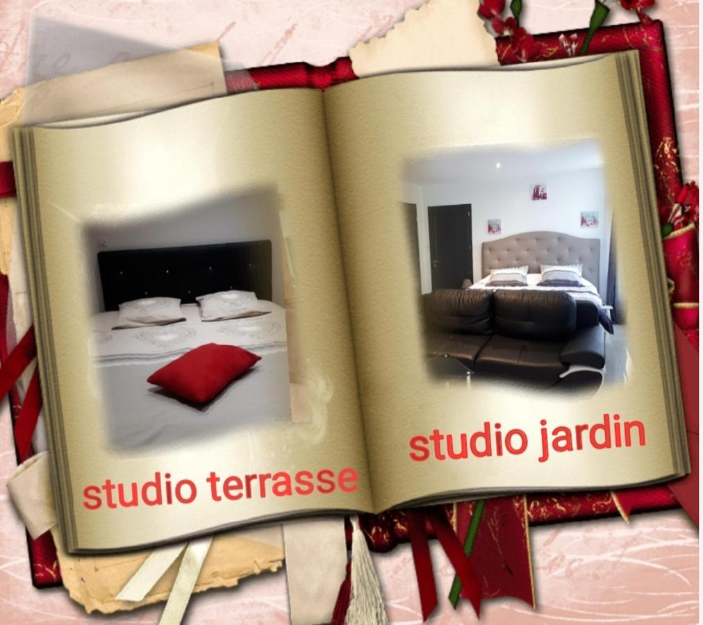 Au Paradis Des Crins Studio Rez De Chaussee Avec Jardin Et Un Autre Studio En Duplex Avec Terrasse Apartment Templeuve-en-Pevele Exterior photo