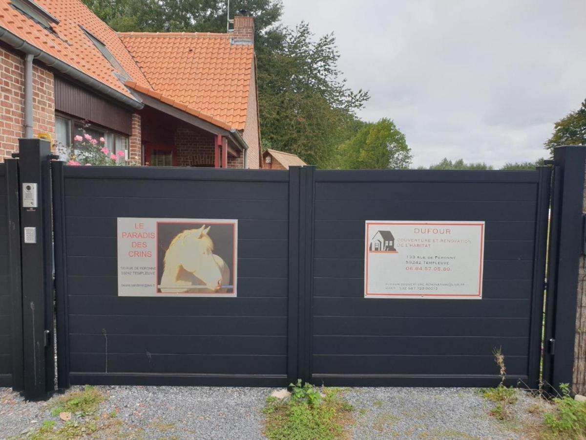 Au Paradis Des Crins Studio Rez De Chaussee Avec Jardin Et Un Autre Studio En Duplex Avec Terrasse Apartment Templeuve-en-Pevele Exterior photo